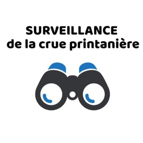 web_surveillance684791788