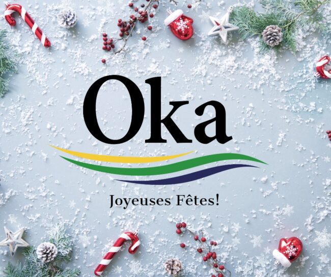 Joyeuses Fêtes2